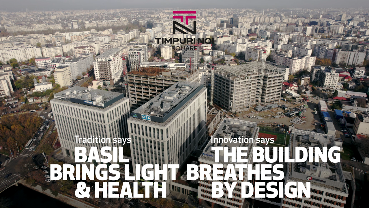 Faces of Timpuri Noi Video